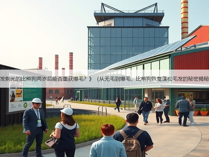 《毛发剃光的比熊狗两岁后能否重获爆毛？》（从无毛到爆毛，比熊狗恢复蓬松毛发的秘密揭秘！）