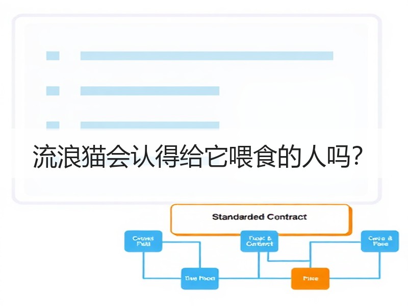 流浪猫会认得给它喂食的人吗？