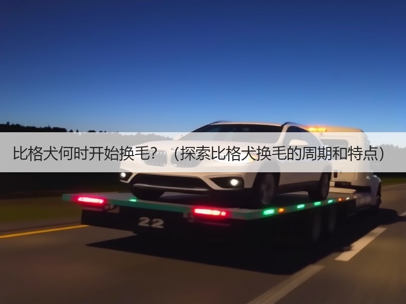 比格犬何时开始换毛？（探索比格犬换毛的周期和特点）