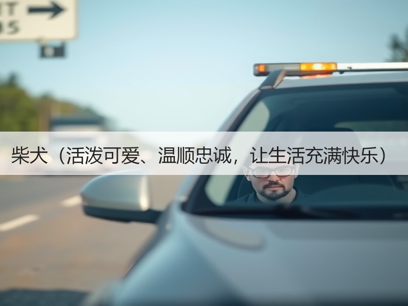 柴犬（活泼可爱、温顺忠诚，让生活充满快乐）