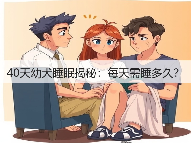 40天幼犬睡眠揭秘：每天需睡多久？