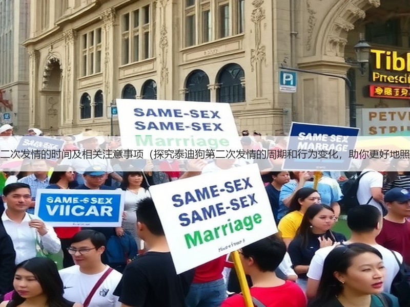 泰迪狗第二次发情的时间及相关注意事项（探究泰迪狗第二次发情的周期和行为变化，助你更好地照顾它们）