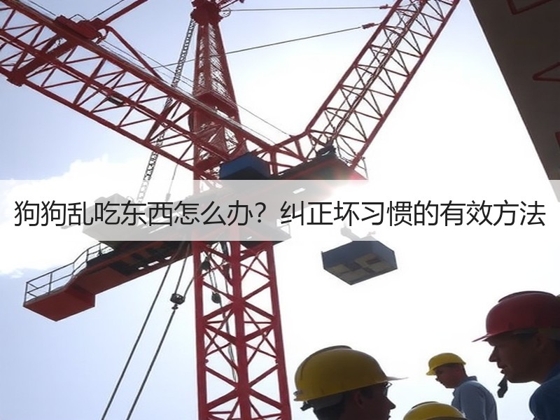 狗狗乱吃东西怎么办？纠正坏习惯的有效方法
