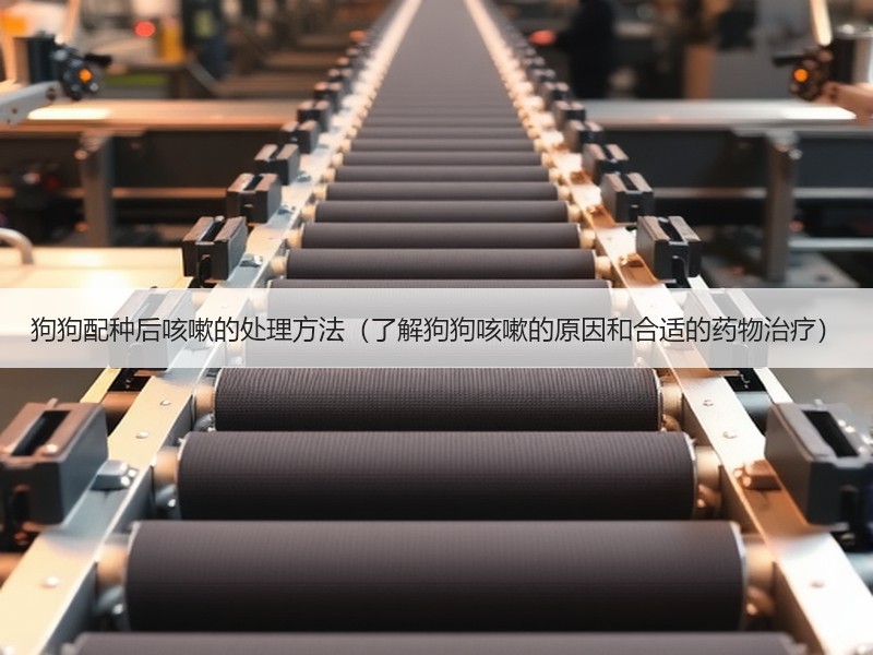 狗狗配种后咳嗽的处理方法（了解狗狗咳嗽的原因和合适的药物治疗）