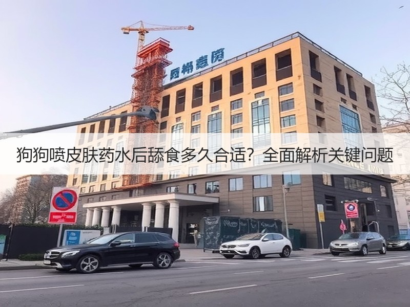 狗狗喷皮肤药水后舔食多久合适？全面解析关键问题