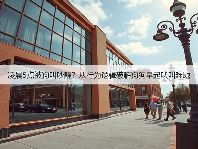 凌晨5点被狗叫吵醒？从行为逻辑破解狗狗早起吠叫难题
