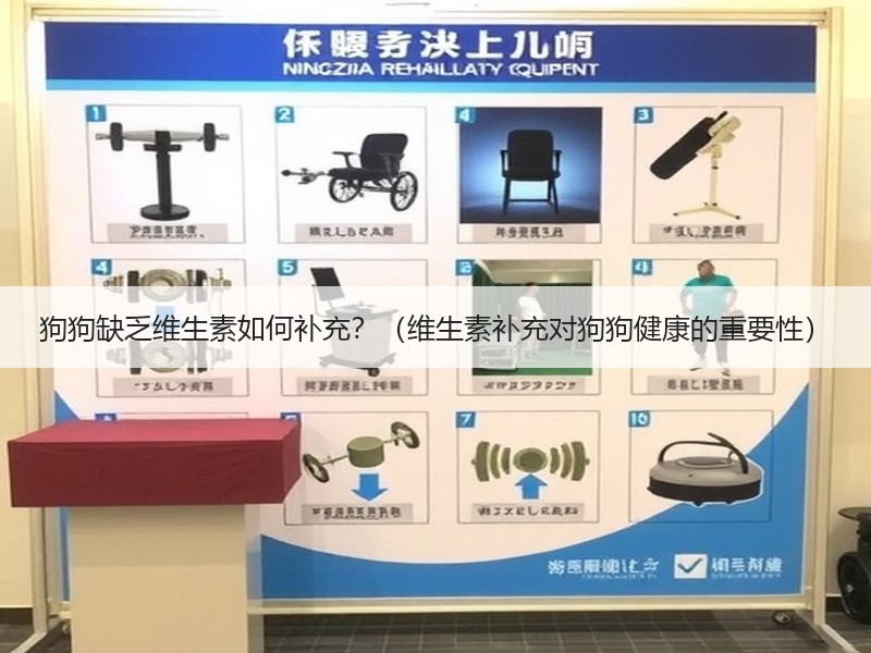 狗狗缺乏维生素如何补充？（维生素补充对狗狗健康的重要性）