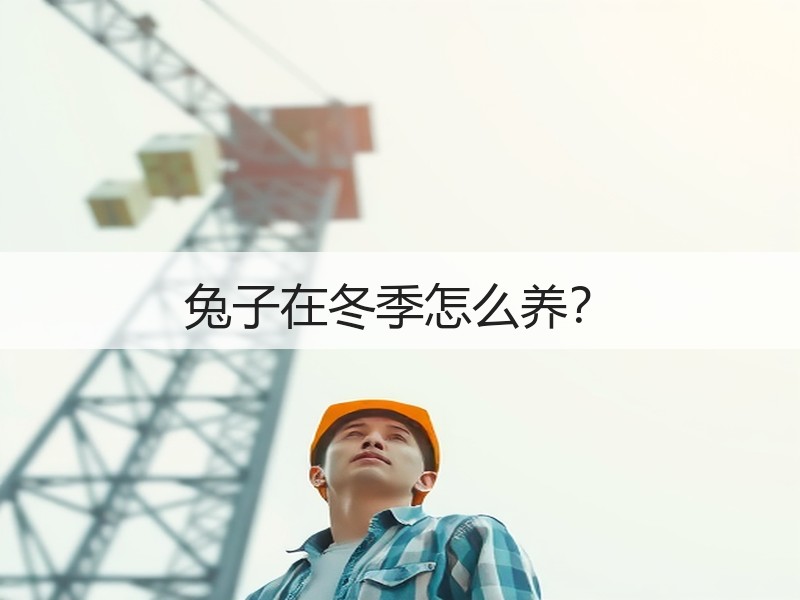 兔子在冬季怎么养？
