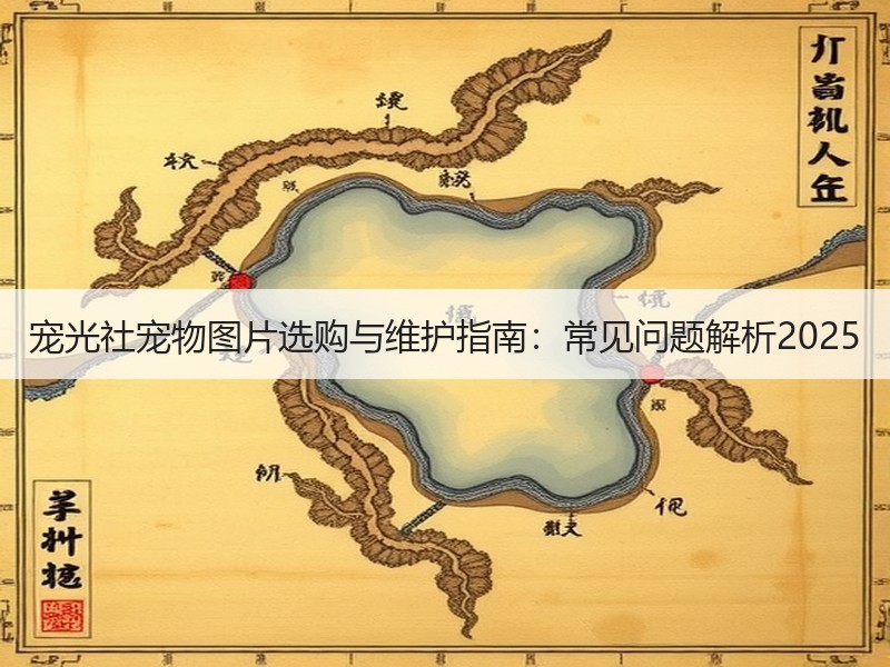 宠光社宠物图片选购与维护指南：常见问题解析2025