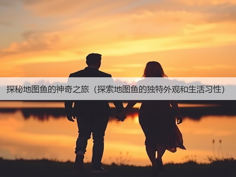 探秘地图鱼的神奇之旅（探索地图鱼的独特外观和生活习性）