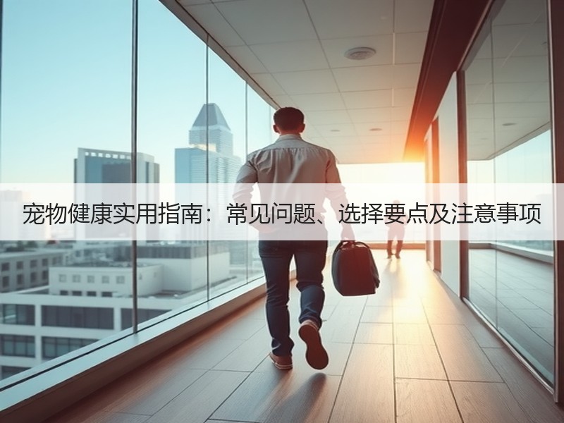 宠物健康实用指南：常见问题、选择要点及注意事项