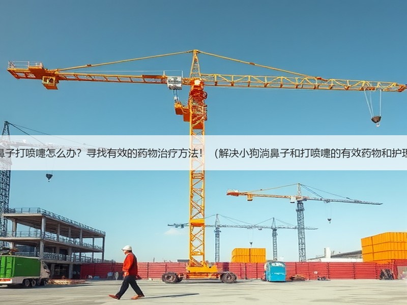 小狗淌鼻子打喷嚏怎么办？寻找有效的药物治疗方法！（解决小狗淌鼻子和打喷嚏的有效药物和护理方法）