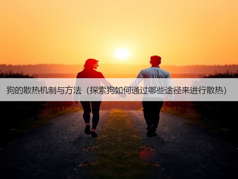 狗的散热机制与方法（探索狗如何通过哪些途径来进行散热）