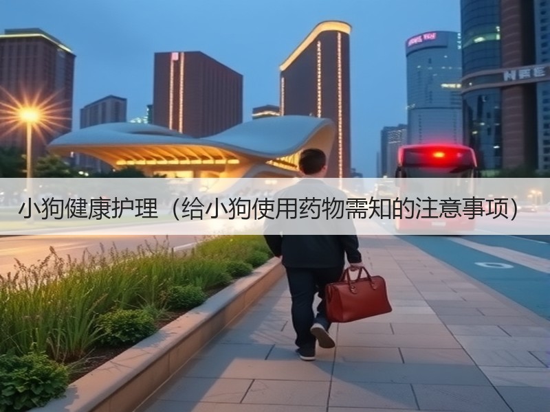 小狗健康护理（给小狗使用药物需知的注意事项）