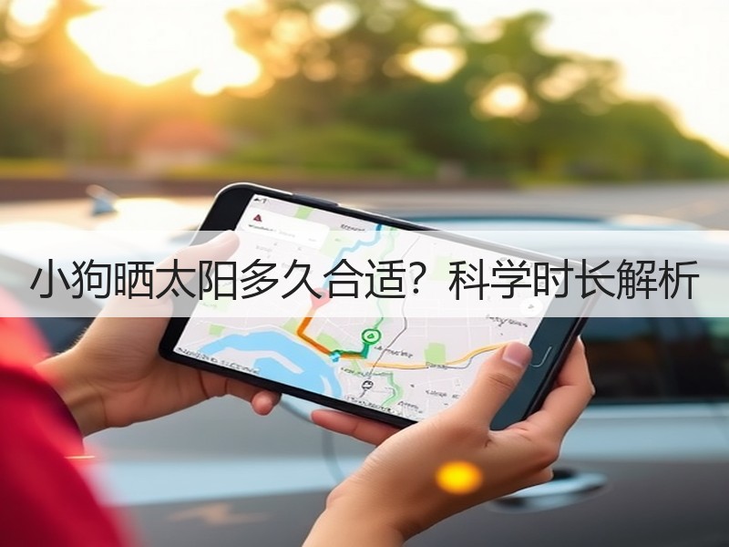 小狗晒太阳多久合适？科学时长解析