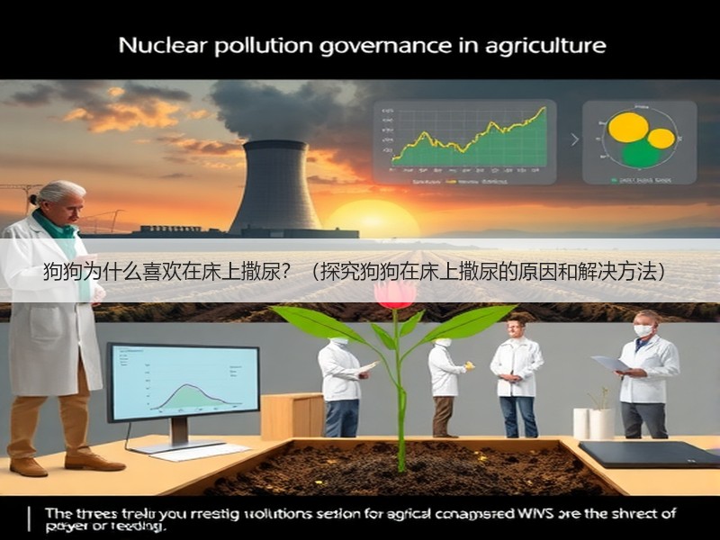 狗狗为什么喜欢在床上撒尿？（探究狗狗在床上撒尿的原因和解决方法）