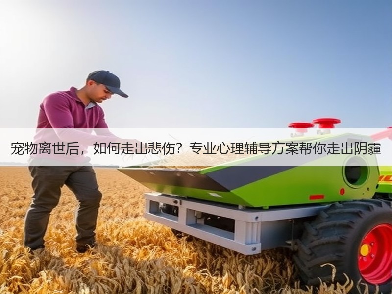 宠物离世后，如何走出悲伤？专业心理辅导方案帮你走出阴霾