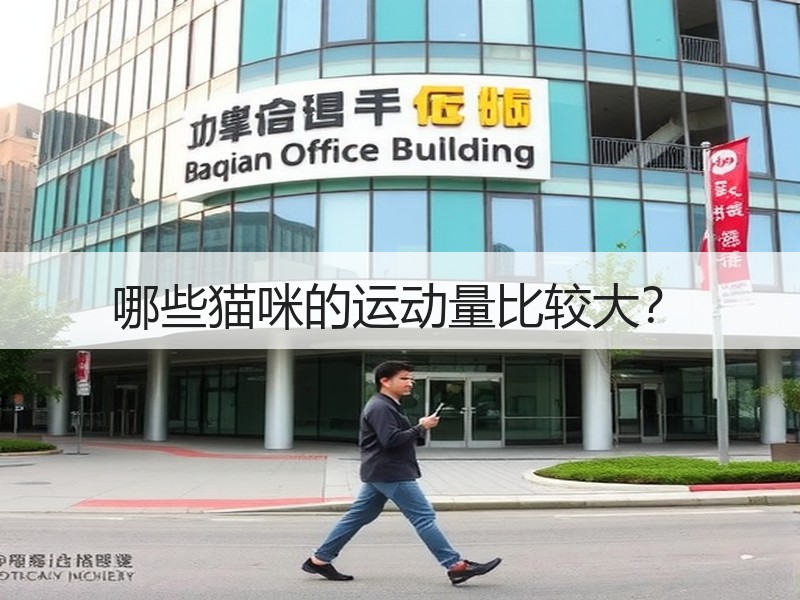 哪些猫咪的运动量比较大？