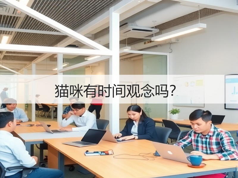 猫咪有时间观念吗？