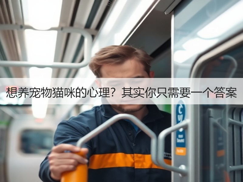 想养宠物猫咪的心理？其实你只需要一个答案