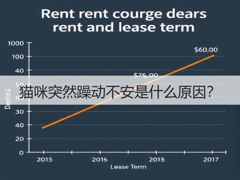 猫咪突然躁动不安是什么原因？