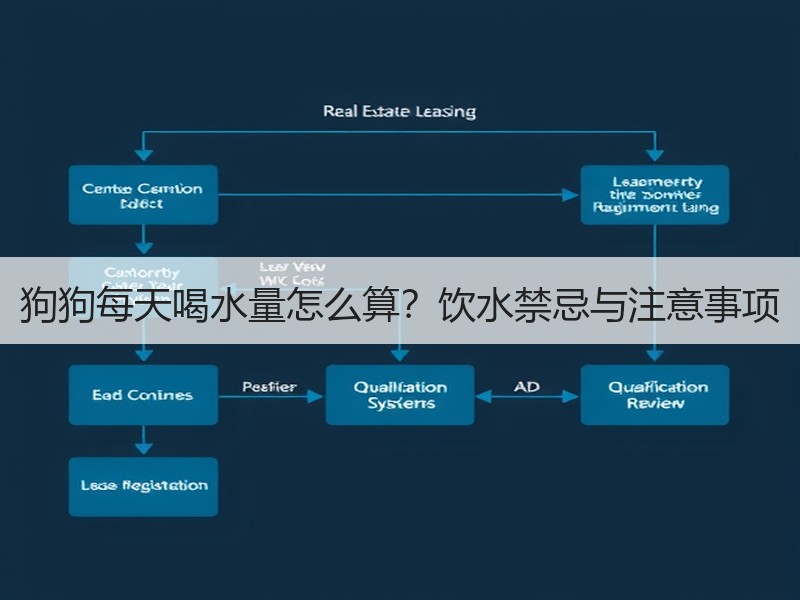 狗狗每天喝水量怎么算？饮水禁忌与注意事项
