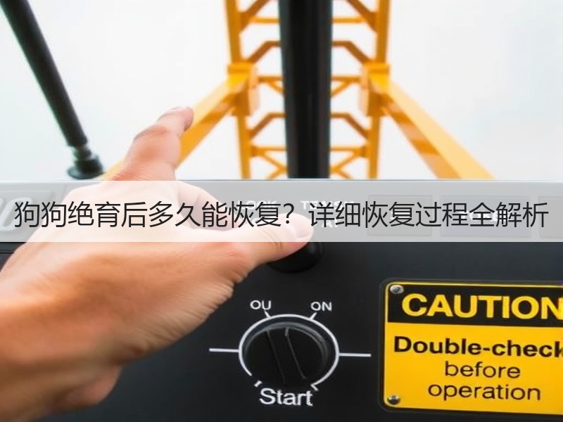 狗狗绝育后多久能恢复？详细恢复过程全解析