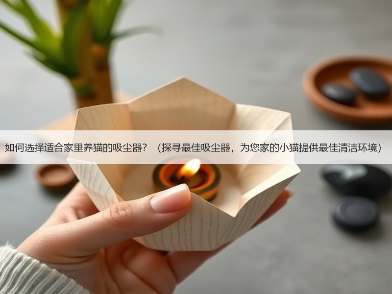 如何选择适合家里养猫的吸尘器？（探寻最佳吸尘器，为您家的小猫提供最佳清洁环境）