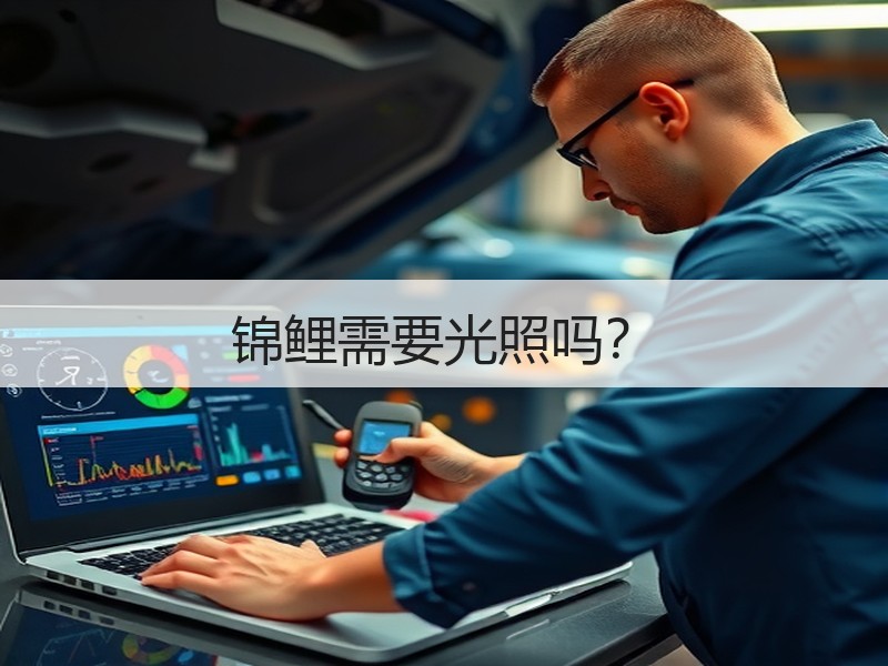 锦鲤需要光照吗？