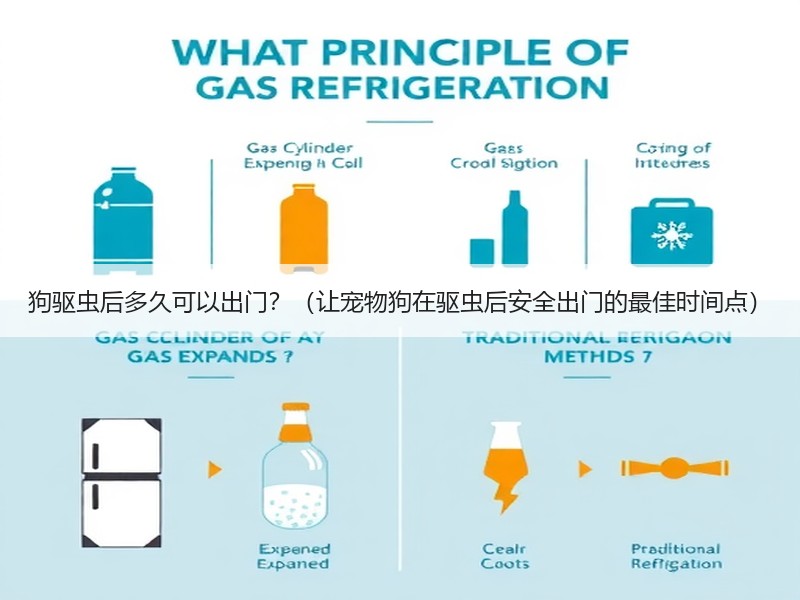 狗驱虫后多久可以出门？（让宠物狗在驱虫后安全出门的最佳时间点）
