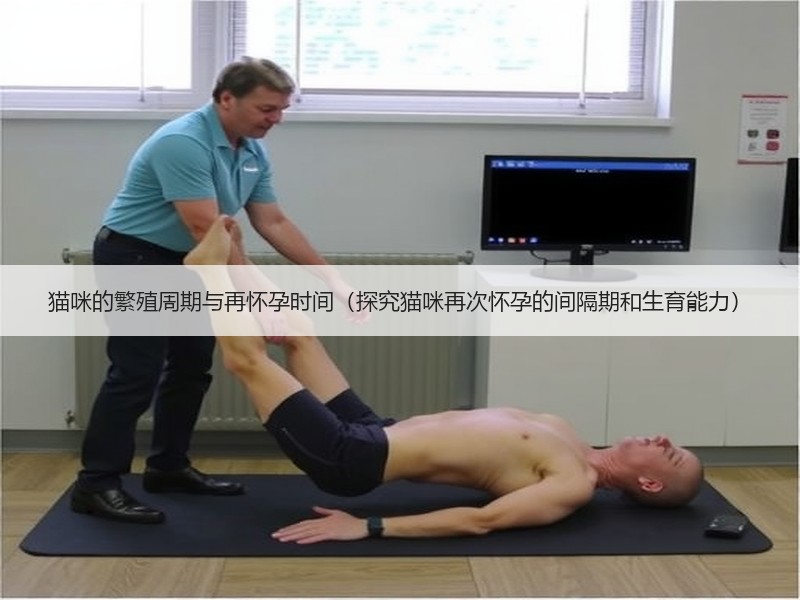 猫咪的繁殖周期与再怀孕时间（探究猫咪再次怀孕的间隔期和生育能力）
