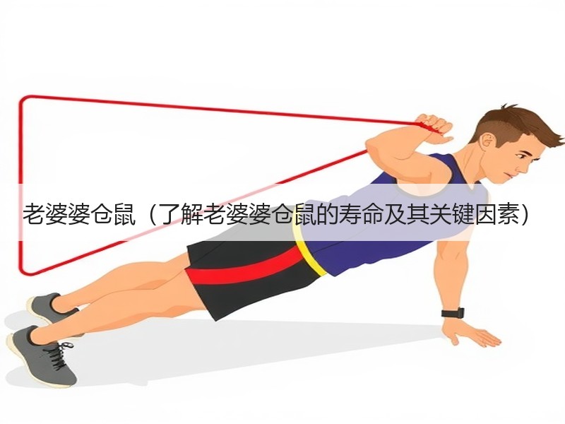 老婆婆仓鼠（了解老婆婆仓鼠的寿命及其关键因素）