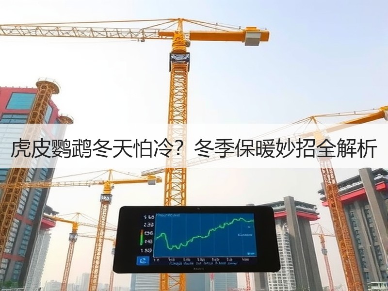 虎皮鹦鹉冬天怕冷？冬季保暖妙招全解析