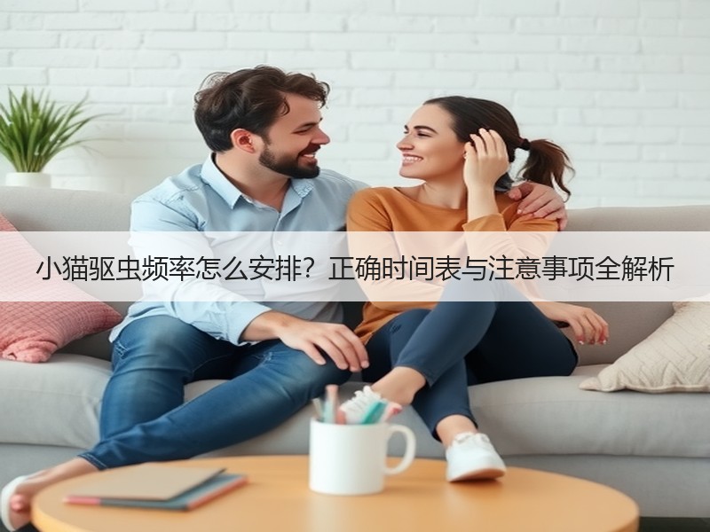 小猫驱虫频率怎么安排？正确时间表与注意事项全解析