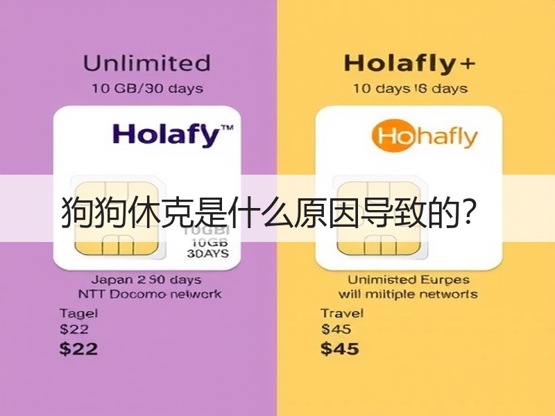 狗狗休克是什么原因导致的？