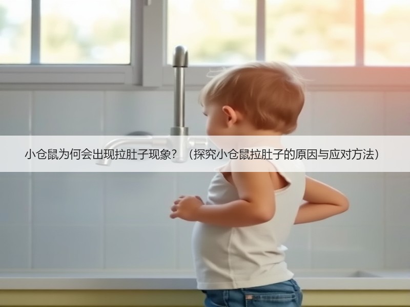 小仓鼠为何会出现拉肚子现象？（探究小仓鼠拉肚子的原因与应对方法）