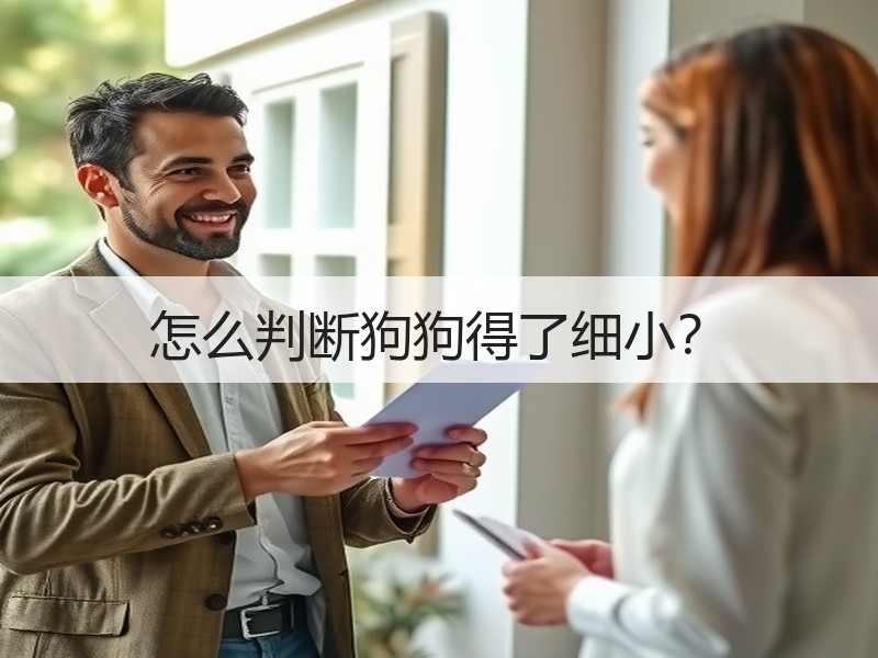 怎么判断狗狗得了细小？