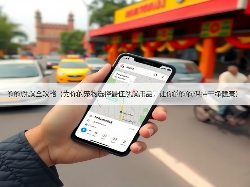 狗狗洗澡全攻略（为你的宠物选择最佳洗澡用品，让你的狗狗保持干净健康）