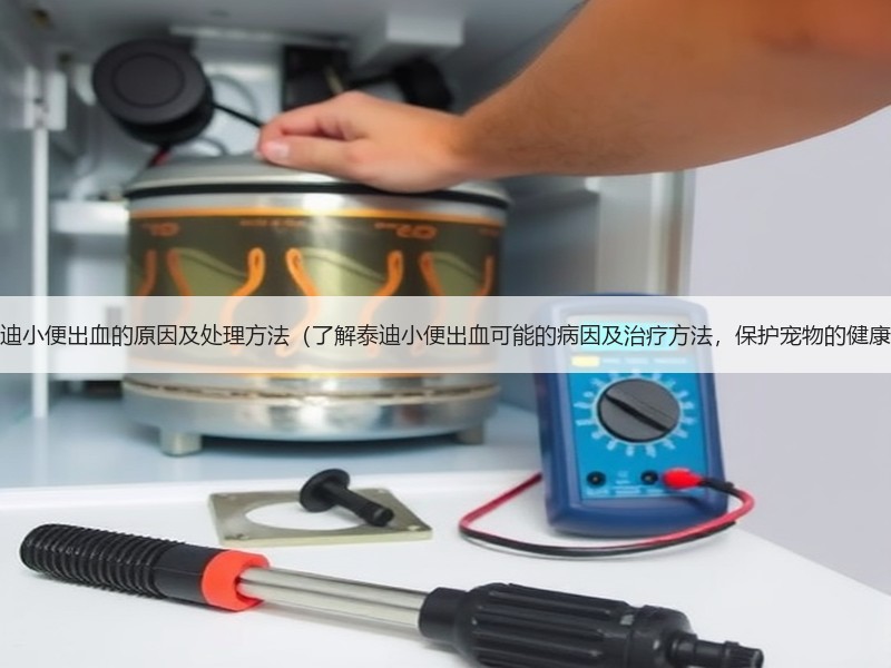泰迪小便出血的原因及处理方法（了解泰迪小便出血可能的病因及治疗方法，保护宠物的健康）