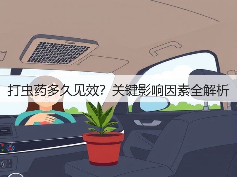 打虫药多久见效？关键影响因素全解析