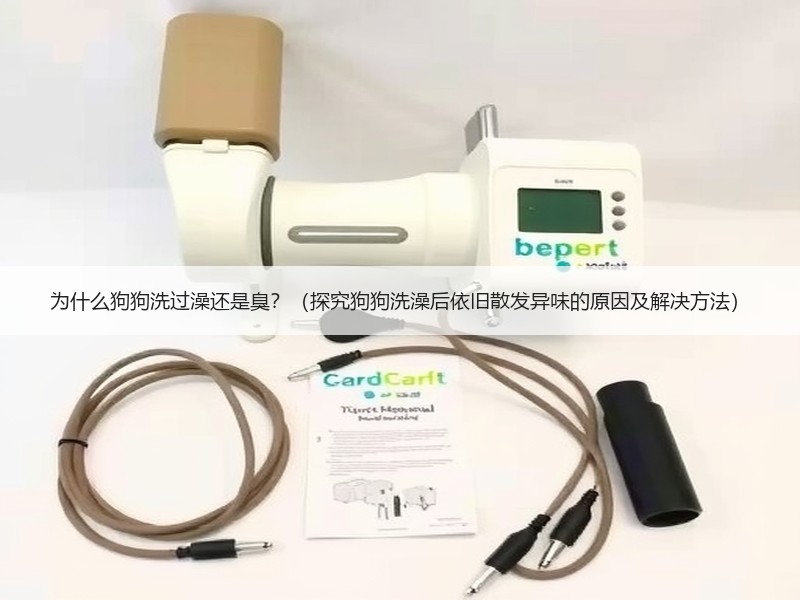 为什么狗狗洗过澡还是臭？（探究狗狗洗澡后依旧散发异味的原因及解决方法）