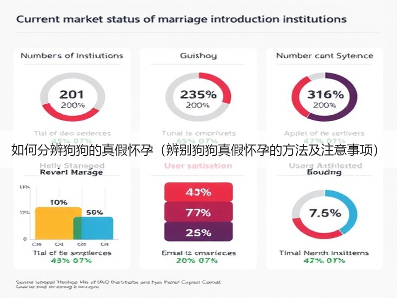 如何分辨狗狗的真假怀孕（辨别狗狗真假怀孕的方法及注意事项）
