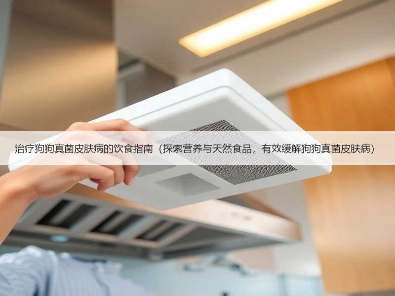 治疗狗狗真菌皮肤病的饮食指南（探索营养与天然食品，有效缓解狗狗真菌皮肤病）