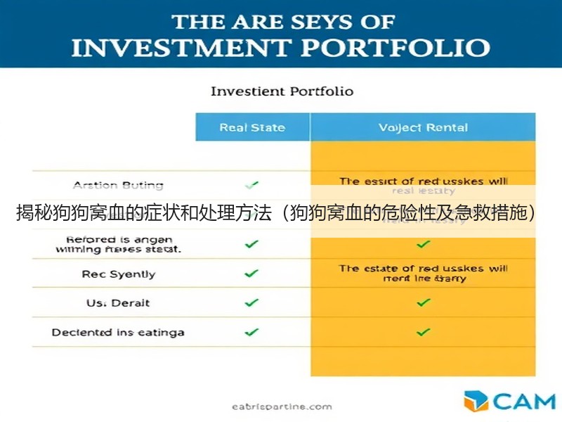 揭秘狗狗窝血的症状和处理方法（狗狗窝血的危险性及急救措施）