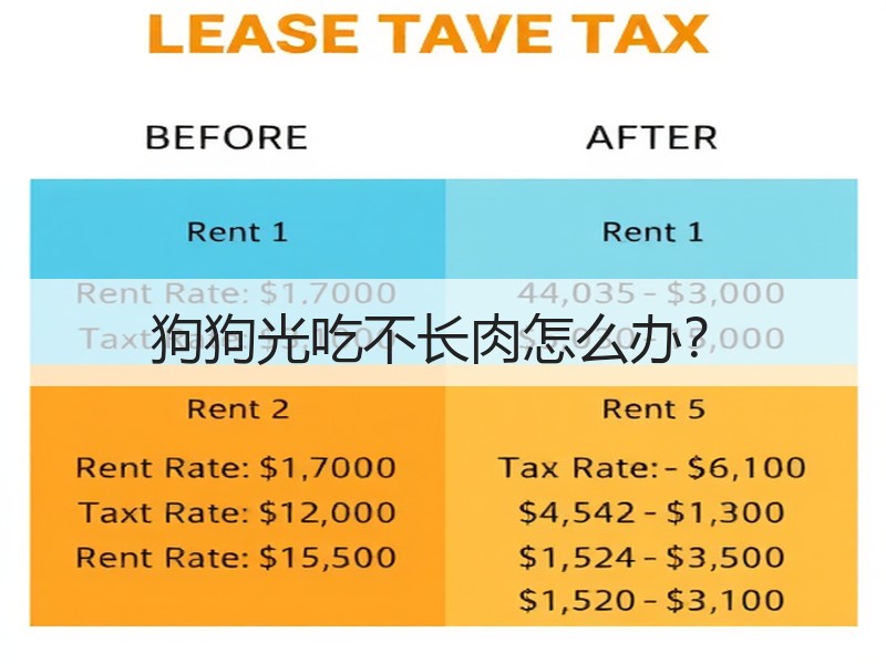 狗狗光吃不长肉怎么办？