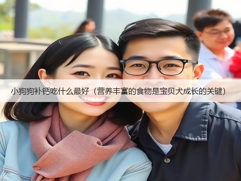 小狗狗补钙吃什么最好（营养丰富的食物是宝贝犬成长的关键）