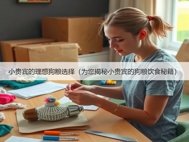 小贵宾的理想狗粮选择（为您揭秘小贵宾的狗粮饮食秘籍）