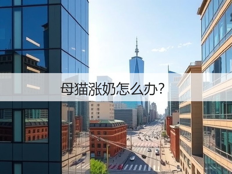 母猫涨奶怎么办？