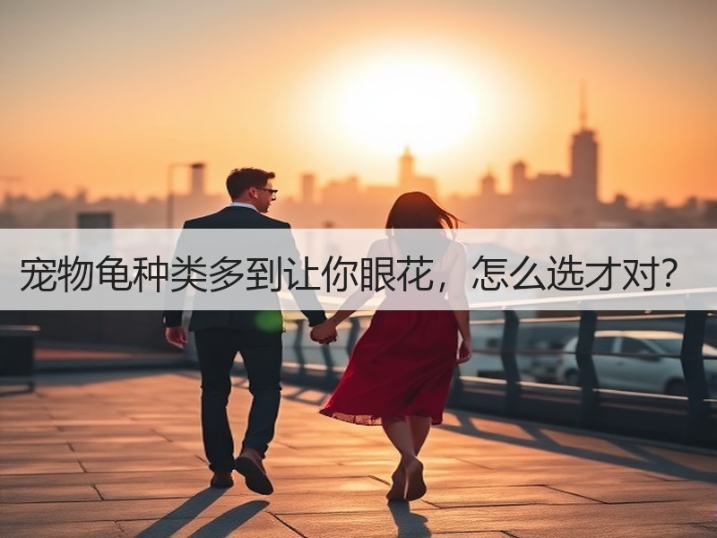宠物龟种类多到让你眼花，怎么选才对？