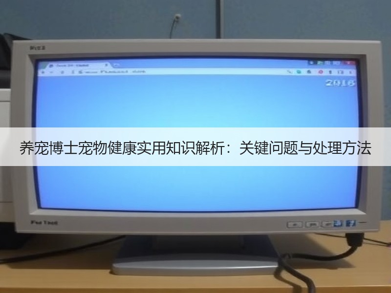 养宠博士宠物健康实用知识解析：关键问题与处理方法